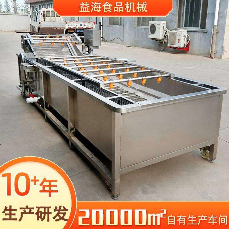 全自动果蔬气泡清洗机西红柿黄瓜连续式喷淋净菜机草莓清洗机