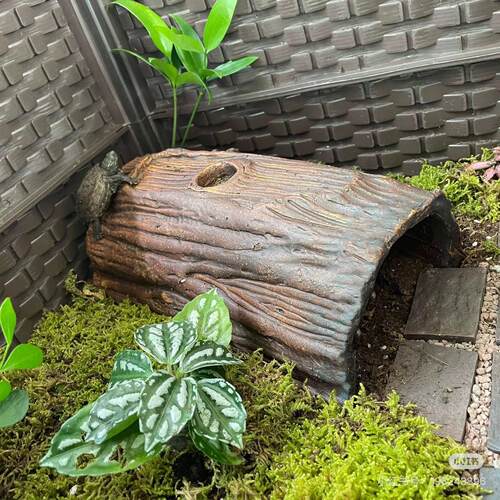手工陶瓷乌龟黄缘龟躲避屋晒台爬坡晒背台爬宠别墅造景彷真树木