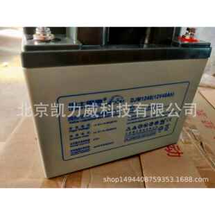 LEOCH理士蓄电池DJ100/2V100AH电子设备/船舶设备/直流屏用蓄电池