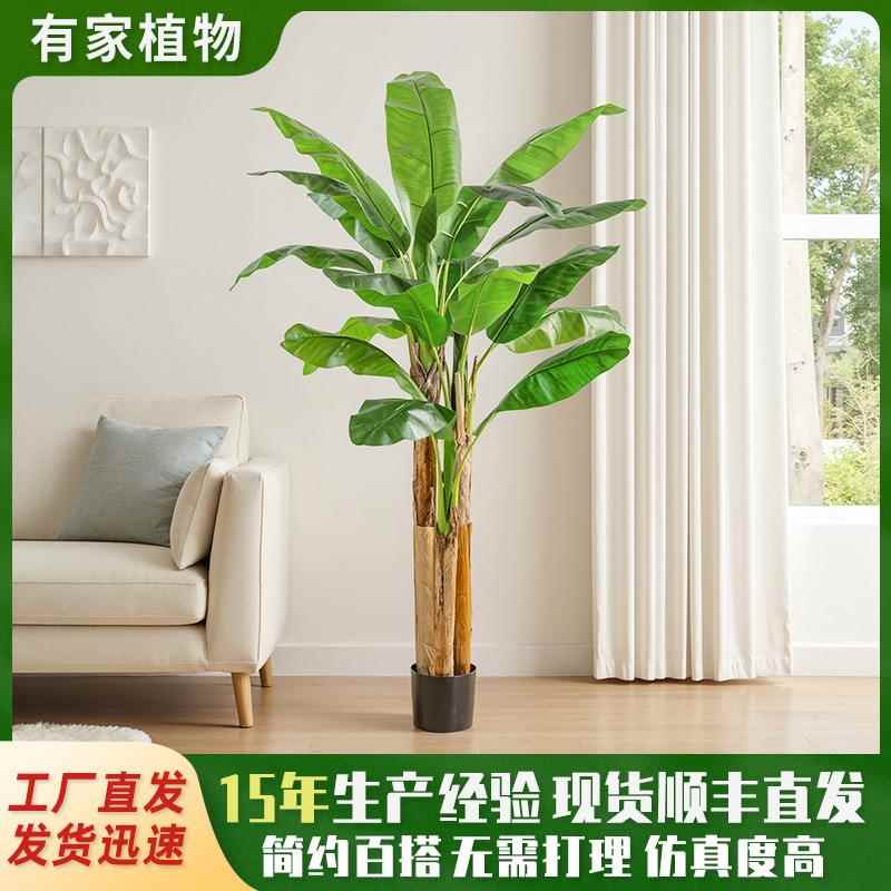 仿真绿植大型落地芭蕉树盆栽室内户外装饰摆件假植物香蕉树盆景
