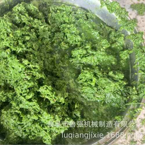 芦荟粉碎机小型中草药实验室用粉碎机打浆榨汁渣浆分离设备