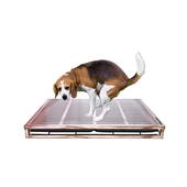 狗厕所一件起批不锈钢抽屉式 卫生间抽拉防踩溅尿中大型犬便盆室内