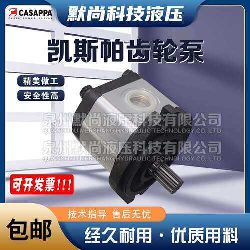 凯斯帕CASAPPA齿轮泵PLP30.22/27/34/38/43/51/61/73/82/90R油泵