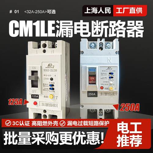 CM1LE单相2P漏电断路器63A 80A 100A 125A 220V 250A空气开关160A