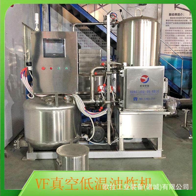 低温油炸机械大型豆角香蕉片油炸机器青萝卜脆片真空油炸机
