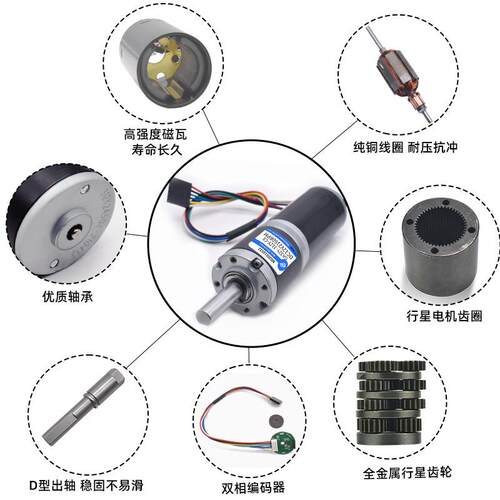GA32Y-31电Z正Y微型直流编码器减速机12V24V行12V11转D星齿调速反