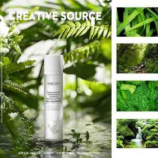 热带雨林 饰 背景纸森系绿植产品商业静物摄影拍照道具苔藓摆件装