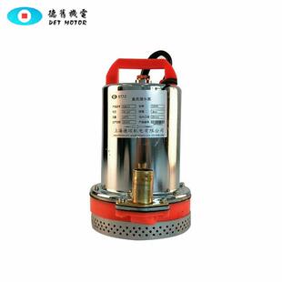 24V48V60V家用电瓶抽水泵小型电动农用灌溉水泵 供应直流潜水泵12