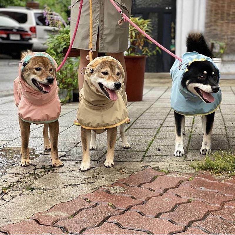 宠物狗猫大型犬柯基雨衣行走安全反光条雨披四季通用短腿防水衣服
