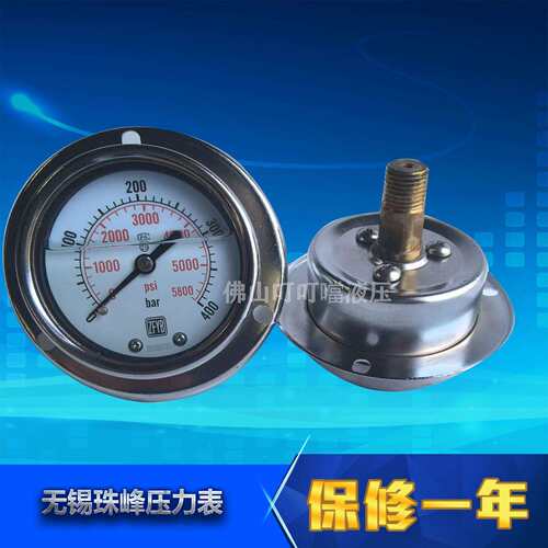 ZFYB无锡珠峰耐震抗震压力表轴向YN60III-600/250/400BAR/40BAR