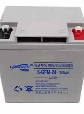 力锐斯蓄电池6GFM12V17AH24AH38A65AH100AH消防备用UPS直流屏电源