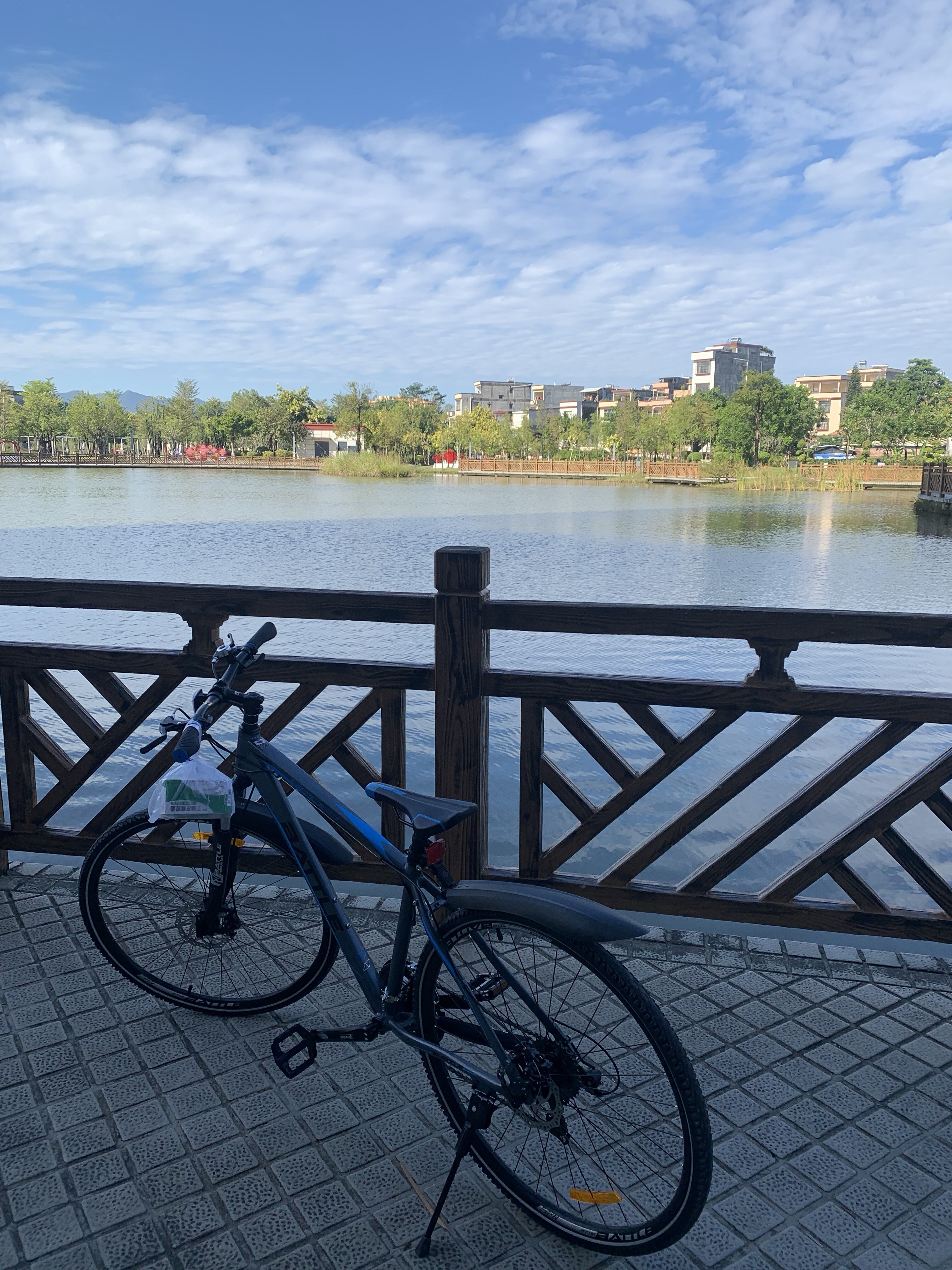 Гибридный велосипед Battle B200 Shimano 27 скоростей, колеса 700C, алюминиевая рама, дорожный городской байк photo review