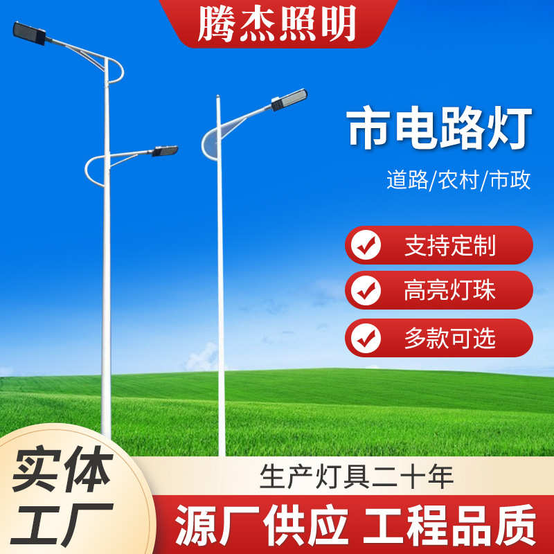 LED路灯杆子户外灯小区照明灯220V高干新农村照明LED市电路灯