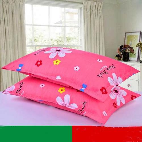 枕头套枕套枕套加厚成人学生枕套