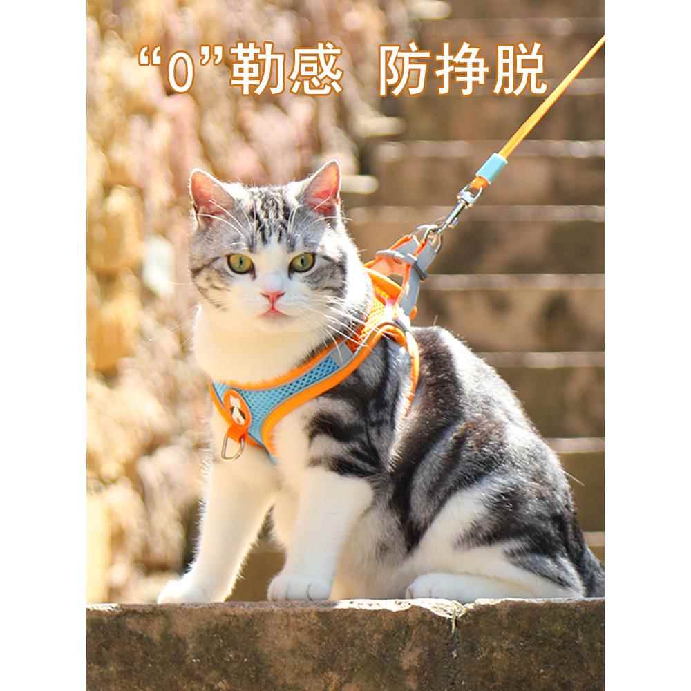 小型犬狗牵引绳胸背带猫咪防挣脱专用猫绳子