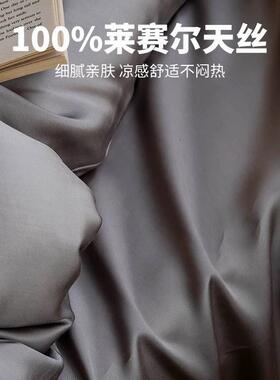 100支奥地利兰精天丝夏单季床上四件套冰丝夏丝凉被款AL920091套