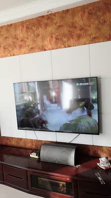 客观分析电视TCL65V6M和海信H65E3A哪个好，差别大不大？