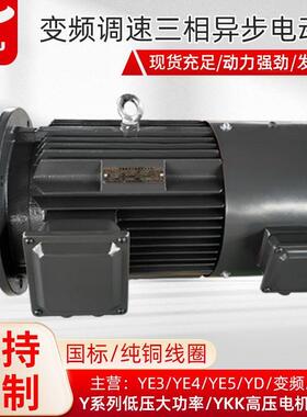衡水电机厂家定制生产YVFE2(YVP)2极3-90W变频调速三相异步电机