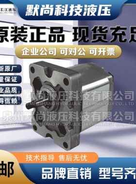 淮安长江齿轮泵RGP-F304/F306/F308/F310/F410/F416/F425精装油泵