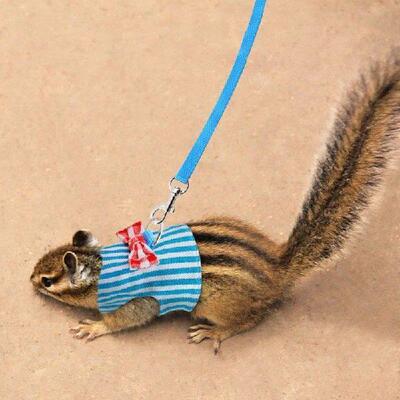 Hamster Small Pet Harness Rabbit Bowtie Striped Star