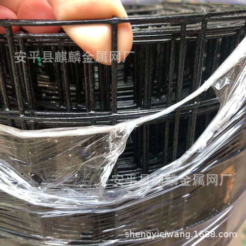 3厘米铁丝网围栏/荷兰网小孔网格/养殖防护/浸塑铁丝网庭院护栏网