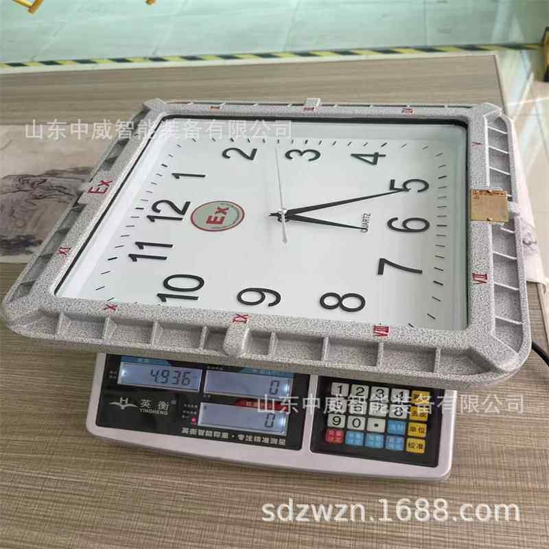 重量轻煤矿用防爆石英钟表 可悬挂可立式钟表FBZ系列防爆石英钟表