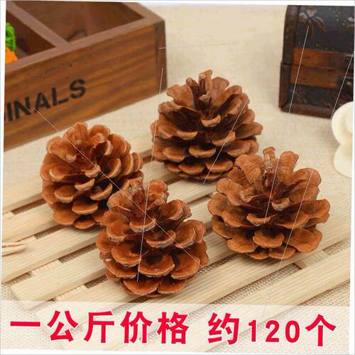 Oil pine props handmade materials Christmas pine cones