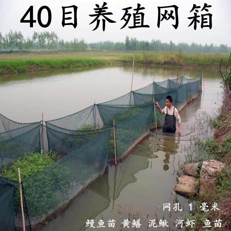 40目养殖箱黄鳝泥鳅鱼网夏花幼苗护坡尼龙网河虾青蛙防逃加厚定做