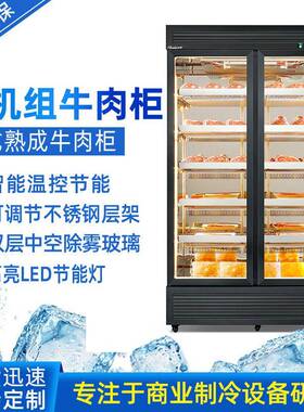 下机组牛肉熟成柜商用干式西餐厅牛排排酸柜湿式保鲜展示冷藏柜