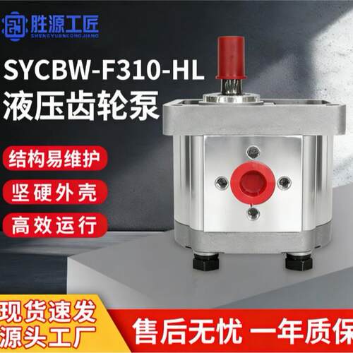 SYCBW-F310-HL液压泵齿轮高压油泵右转20Mpa卧式油泵液压齿轮泵
