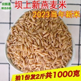 燕麦米今年秋新燕仁麦内蒙莜麦米张家口煮粥蒸饭燕麦粒五谷1000g