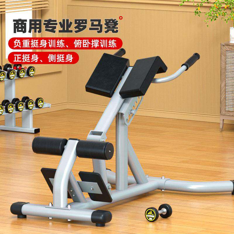 室内身器材商罗马椅羊挺身器健腰器健身凳用健身健5020椅背肌山训