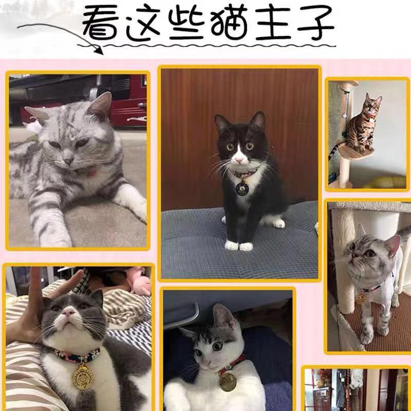 猫项圈猫牌定制刻字吊牌防走丢除跳蚤驱虫狗牌带无声铃铛宠物猫咪