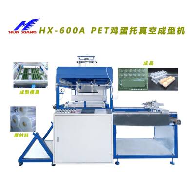工厂现货供应PET鸡蛋包装盒成型机自动小型真空吸塑机