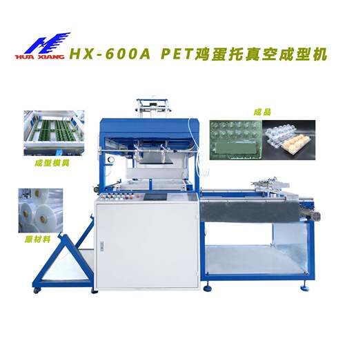 工厂现货供应PET鸡蛋包装盒成型机自动小型真空吸塑机