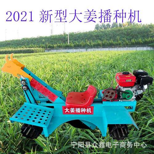 2021新型大姜种植机座驾式单行播种汽油机动力种姜机现货
