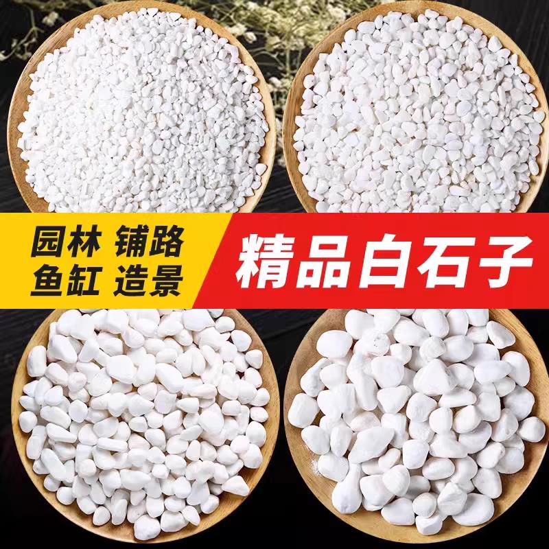山东白石子白色石头石子庭院铺地花园造景装饰鱼缸盆栽小白石子