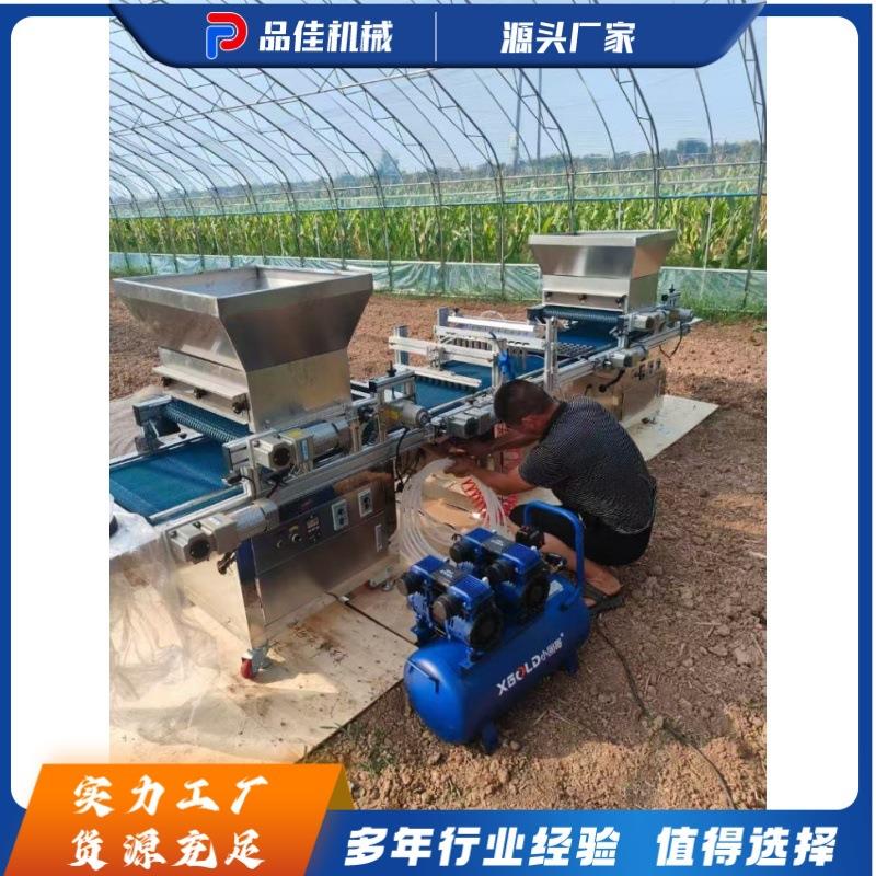 全自动穴盘育苗播种机精准取种蔬菜花卉育苗设备覆土浇水一体机