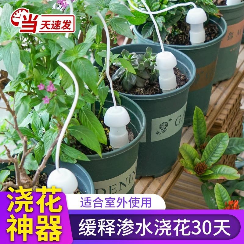 自动浇水器浇花假期出差家用滴灌浇花器滴水懒人盆栽植物