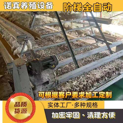 大小全自助阶梯式蛋鸡笼养鸡设备蛋鸡笼自动清粪喂料外贸可采购