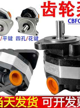 齿轮泵cbfc齿轮 油泵25液压32行走泵40-50装载机铲车左一右平花18