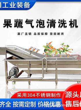 商用千禧果鼓泡清洗洗机 辣椒小米辣清洗设备 小型中央厨房菜TRH