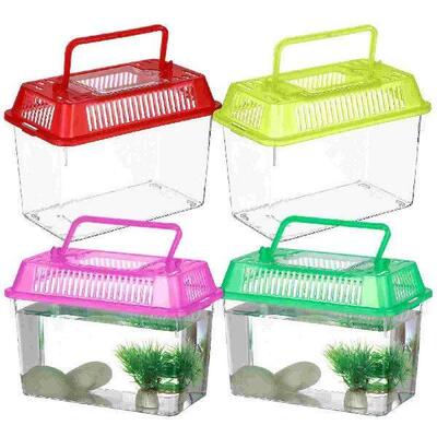 4 Pcs Mini Portable Fish Tank Gift for Friends with Turtle