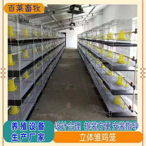 蛋鸡小鸡笼育雏笼四层立体式小鸡笼镀锌丝小鸡笼，加密加粗，防