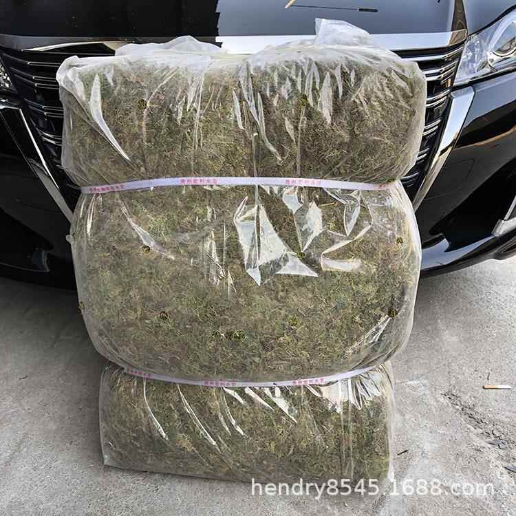 普通7公斤大包装干水草 苔藓水苔食虫植物微景观包扎运输生态瓶用