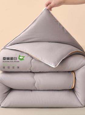 棉A蚕被拉链纯二合一子母丝被春秋被冬被加厚类被芯XUZ-9069四季