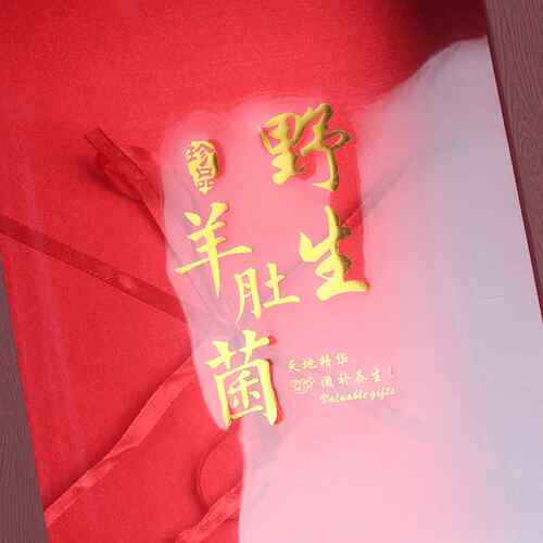 新款直销仿木纹羊肚菌礼盒(纸质)包装盒烫金礼盒名贵礼品盒250g15