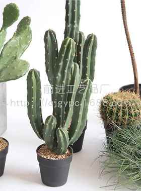 仿真仙人掌沙搭风生格植柱物造景配11253龙神门店堆景店铺装饰摆