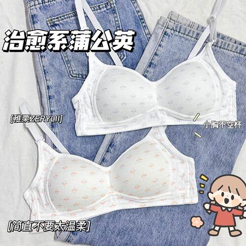 稚栗ZERYLII少女内衣无钢圈小胸学生聚拢上托薄款舒适透气内衣罩