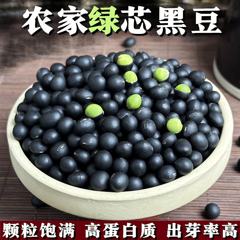 2024东北新绿心黑豆农家自产绿芯黑豆打豆浆生髪豆芽五谷杂粮500g